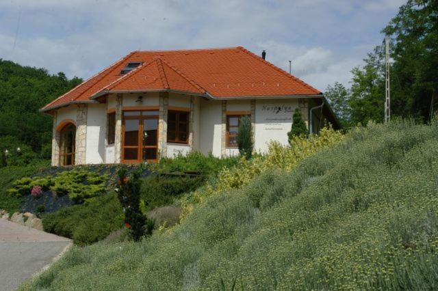 Bed and Breakfast Naspolya Panzio Es Etterem Bátaapáti Exterior foto